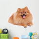 Pomeranian Dog Cute Pet Wall Decal