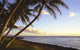 Tropical Shoreline Wall Decal