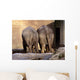 Old Friends Wall Mural
