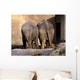 Old Friends Wall Mural