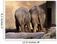 Old Friends Wall Mural