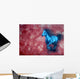Horse Wall Mural