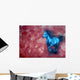 Horse Wall Mural