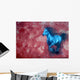 Horse Wall Mural
