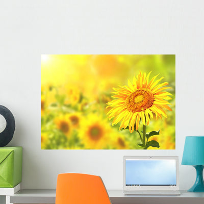 Bright Yellow Sunflowers shown on a wall
