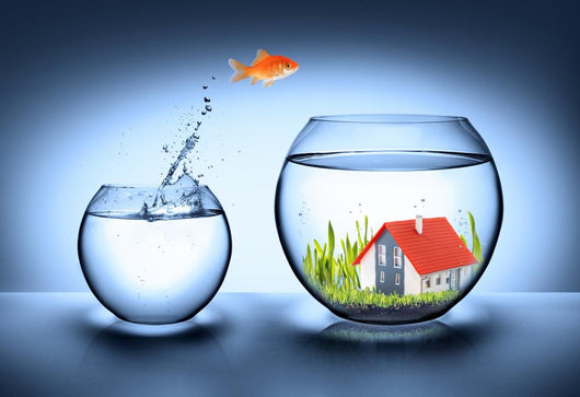 fish find house - real estate concept Wall Mural