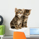 Two Tabby Kittens Wall Decal