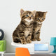 Two Tabby Kittens Wall Decal