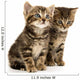 Two Tabby Kittens Wall Decal