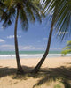 Puerto Rican Beach Wall Decal