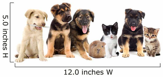 Puppies Looks