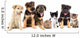Puppies Looks