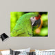 Loro3493 Wall Decal