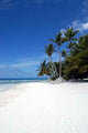 Caribbean Beach Wall Decal