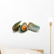 Mussels in Shells Isolated on White Background Wall Decal
