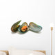 Mussels in Shells Isolated on White Background Wall Decal
