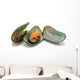 Mussels in Shells Isolated on White Background Wall Decal