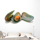 Mussels in Shells Isolated on White Background Wall Decal