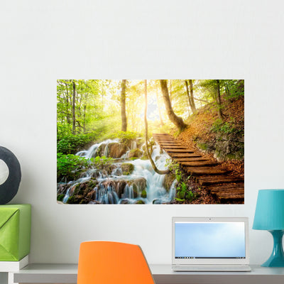 Deep Forest Stream with shown on a wall