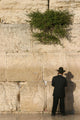 Western Wall Wall Mural