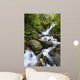 Torc Waterfall