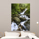 Torc Waterfall