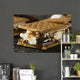 S'mores with Marshmallows Chocolate and Graham Crackers Wall Mural