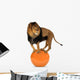 Lion Balancing Big Ball