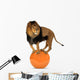 Lion Balancing Big Ball
