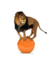 Lion Balancing Big Ball