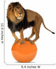Lion Balancing Big Ball