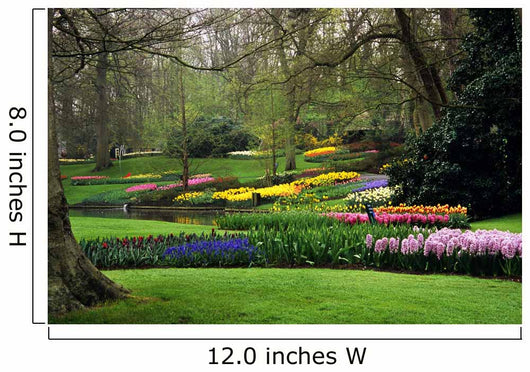 Keukenhof Gardens Wall Mural