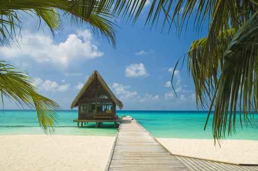 Tropical Beach Wall Decal