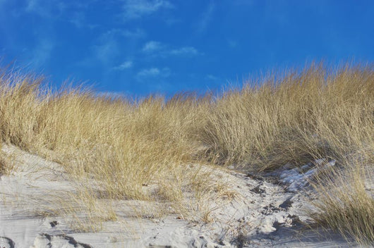 Nordsee Farben