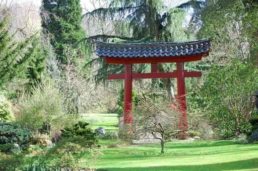 Japanese Garden with Torii Wall Decal
