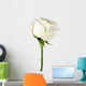 White rose close-up Wall Decal
