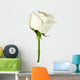 White rose close-up Wall Decal