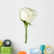 White rose close-up Wall Decal