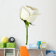 White rose close-up Wall Decal