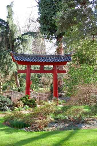 Japanese Garden Wall Decal