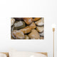 Wet Pebbles Wall Mural