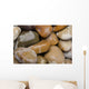Wet Pebbles Wall Mural