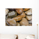 Wet Pebbles Wall Mural