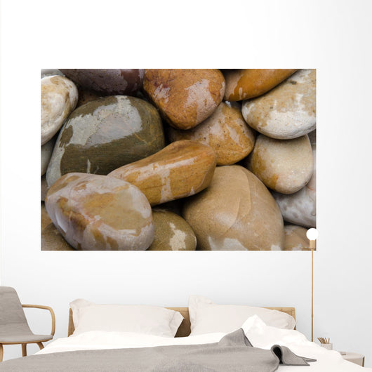 Wet Pebbles Wall Mural