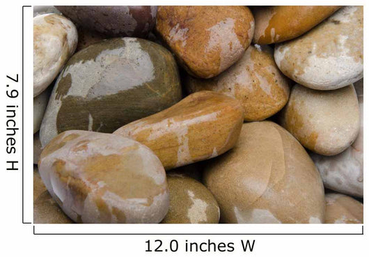 Wet Pebbles Wall Mural