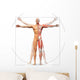 Human anatomy displayed as the vitruvian man Wall Decal