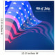 Vector 4th July