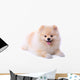 Pomeranian Puppy Dog Wall Decal