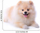 Pomeranian Puppy Dog Wall Decal