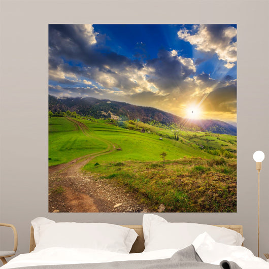 Path Hillside Meadow Mountain